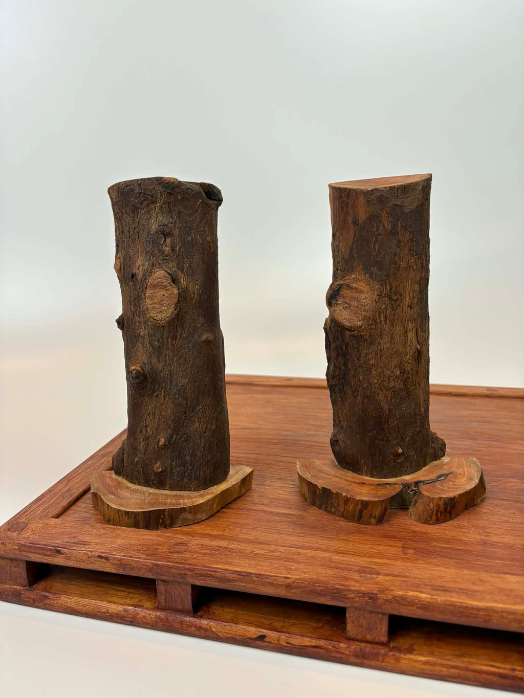 Rustic Natural Wood Bookends (Set of 2)